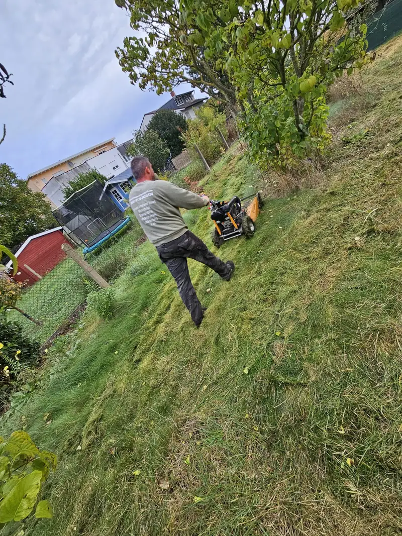 Rückschnitt einer hohen Wiese am Hang