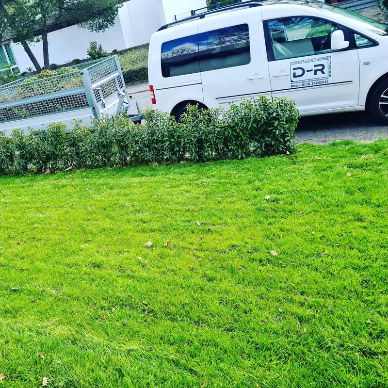 Gepflegte Rasenfläche – unser Firmenwagen im Einsatz