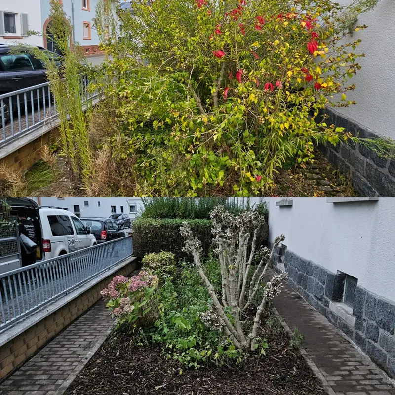 Vorgarten vorher und nachher
